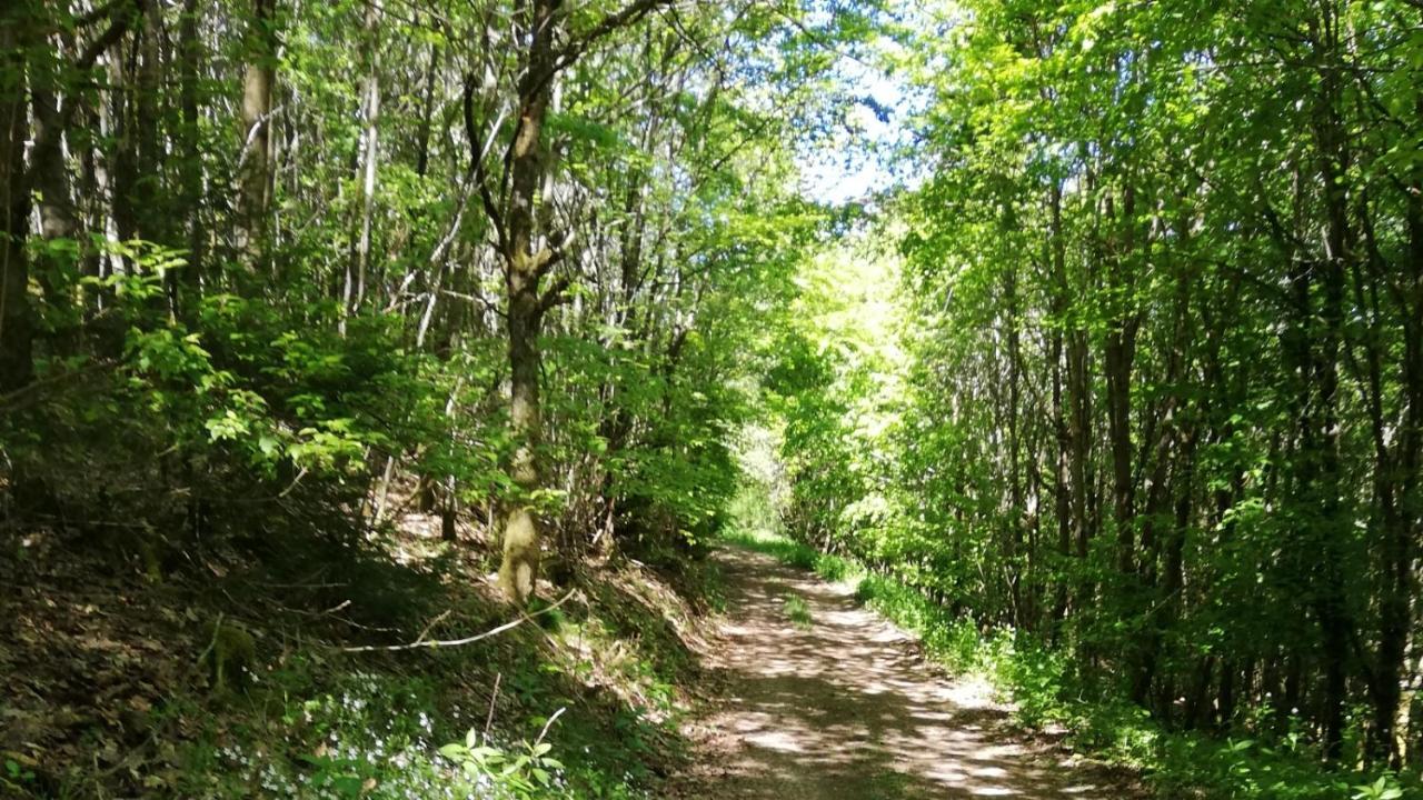 Eifel-Ferienhaus Marga Pruem Bagian luar foto